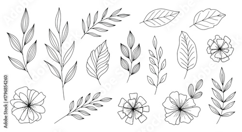 Handdrawn botanical leaves and flowers illustration set