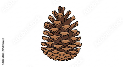 Detailed pine cone illustration for nature education and botanical study, brown cone clip art for design projects