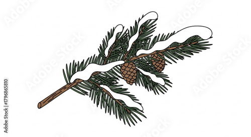 Winter snow covered pine branch with pinecones christmas holiday season evergreen tree decoration design