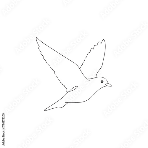 Minimalist Line Art of a Dove in Flight