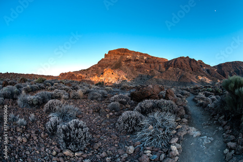 Hiking in deserted landscapes of Teide National Park, Tenerife, Canary Islands