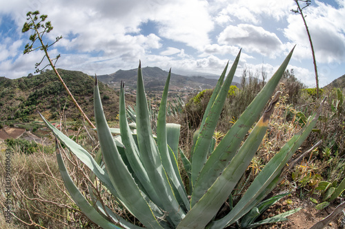  Tegueste area with surrounding scenery and distant towns, Tenerife, Canary Islands