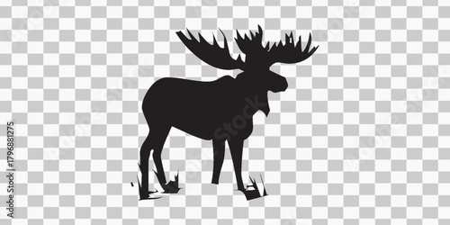 Animals Sewing needle or plastic push pins tacks for paper notice.