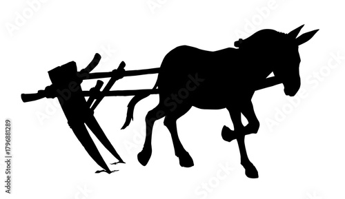 Vector drawing. Cute old mule