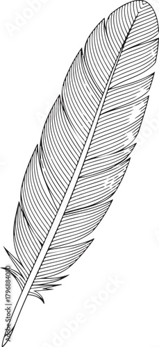 Feather icon designed using sound-wave style curving lines, making it look airy and harmonic. Black line on white