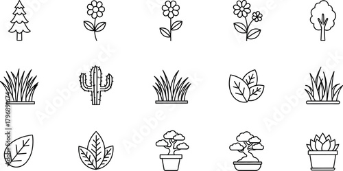 Collection of hand drawn botanical illustrations featuring various plants and flowers in a simple sketchy style