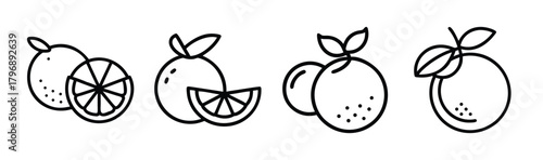 Hand drawn orange citrus fruits collection with slices simple line art style