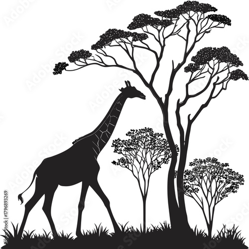 Giraffe Silhouette in the Savanna: The silhouette of a towering giraffe gracefully strides through the African savanna, framed by majestic trees.