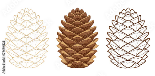 Pine Cone Vector Set Flat Design Illustration – Detailed, Outline, and Geometric Styles, Natural Christmas Clipart PNG

