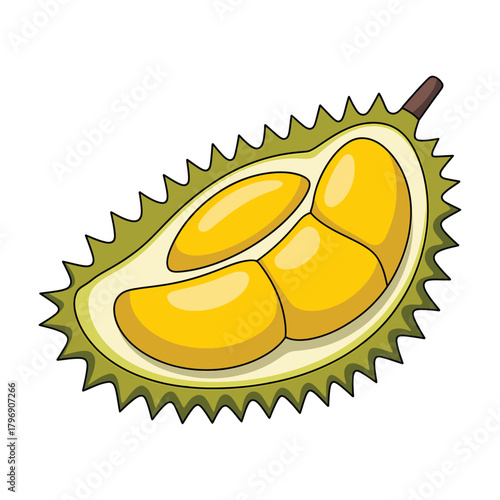 Illustration of a durian fruit cut in half the image shows the spiky outer shell and the creamy yellow flesh inside, a tropical delicacy