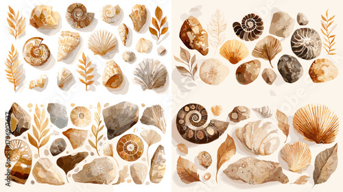 Watercolor seashell and fossil clipart with nautilus, ammonite, stones, and beach finds in warm earth tones. Ideal for coastal decor, patterns, crafts, and educational designs.