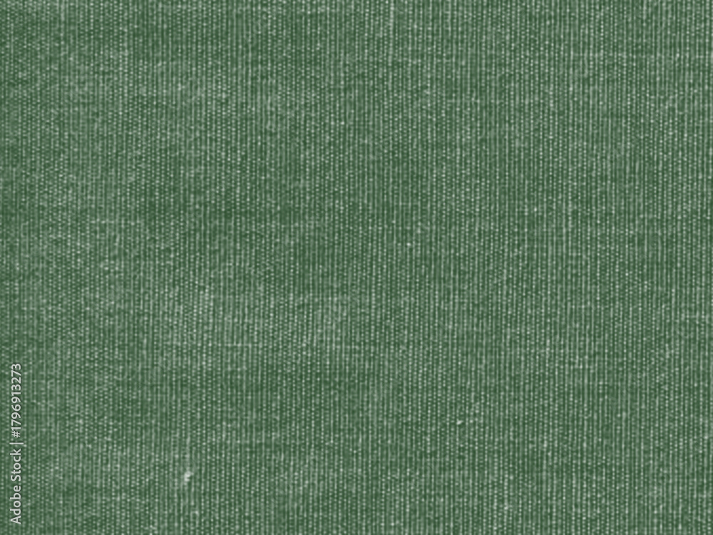 Fototapeta premium forest green blank canvas