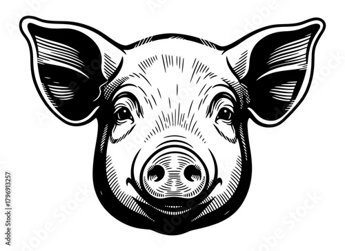 Classic vintage pig head illustration, detailed engraving. Ideal for farm branding, butcher logos, rustic food labels, livestock products, and agricultural designs