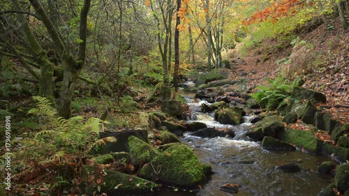 Autumn woodland and cascading water at Wyming Brook in the Derbyshire, Peak District National Park.