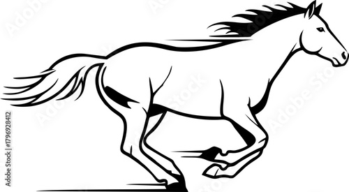 black horse vector illustration