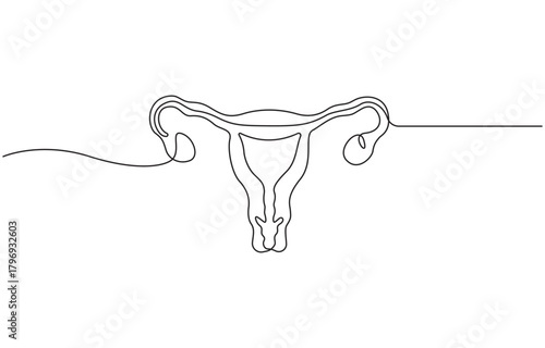 Women uterus continuous one line drawing of fallopian tubes modern style outline vector illustration, Editable stroke on transparent background.