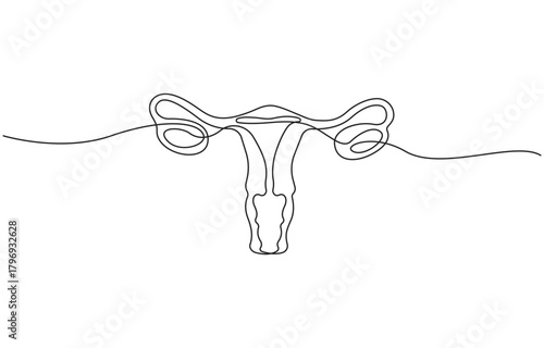 Women uterus continuous one line drawing of fallopian tubes modern style outline vector illustration, Editable stroke on transparent background.