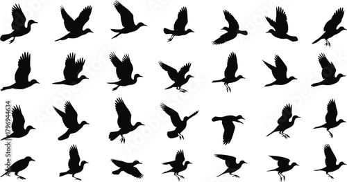 Bird flight silhouette cartoon illustration, expressive wing posture and symbolic motion artwork for design, decor, and education