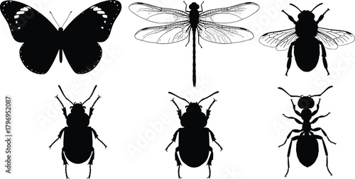 Insect silhouette cartoon illustration, symbolic bug icons and expressive entomology artwork for design and education