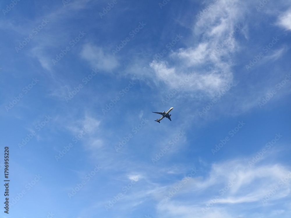 Fototapeta premium airplane in the sky