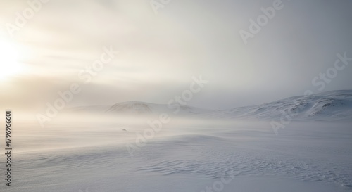 A vast, misty winter landscape with snow-covered ground and a hazy sky, illuminated by a soft sun.
