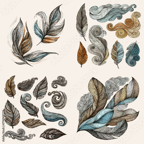 Vintage feather and scroll motifs with ornate swirls in teal, brown, and gold. Baroque decorative elements for labels, packaging, textiles, logos, and elegant craft design.