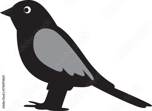  black bird with gray wing