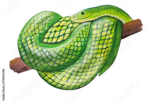 green snake painted with acrylics