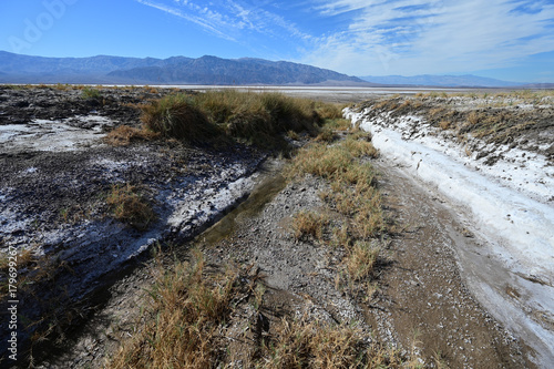 Stream in a gulley at the  basin of Death Valley in California in November 2025.