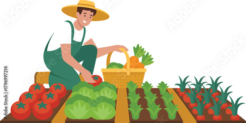 Farmer harvesting fresh vegetables in garden vector illustration