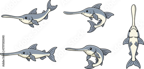 vector illustration of paddlefish funny cute cartoon mascot character cartoon with 5 poses 03
