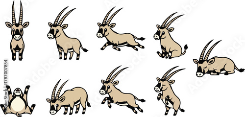 vector illustration of oryx funny cute cartoon mascot character cartoon with 9 poses 01