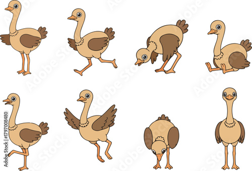 vector illustration of ostrich funny cute cartoon mascot character cartoon with 8 poses 