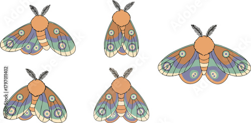 vector illustration of moth funny cute cartoon mascot character cartoon with 5 poses 01