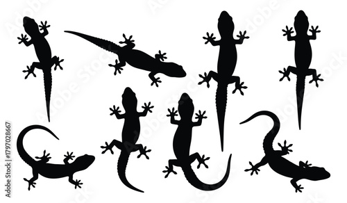 Collection of gecko silhouettes, showcasing various poses and angles of the reptile