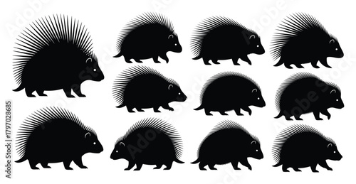 Silhouette of a porcupine in various poses, showcasing its quills and unique shape