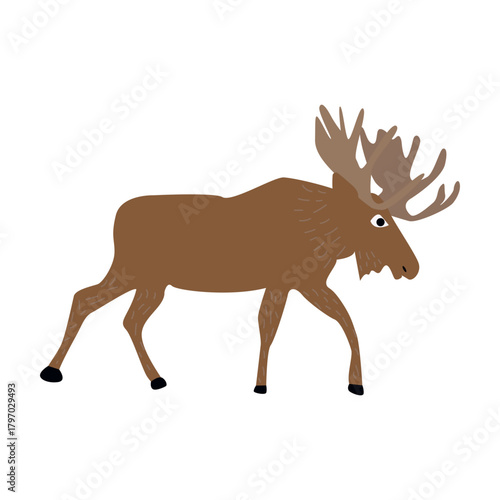 Moose on a white background. Cute animal. Vector illustration.