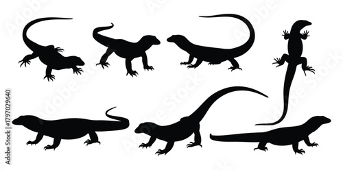 Silhouette of monitor lizards in various poses, creating a dynamic composition
