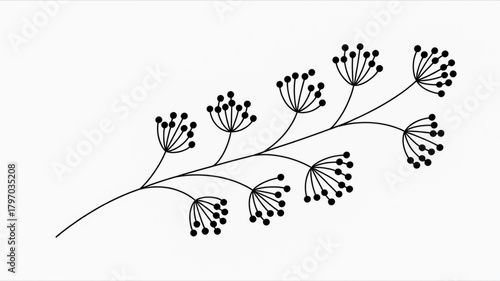 Delicate black botanical illustration of a flowering branch