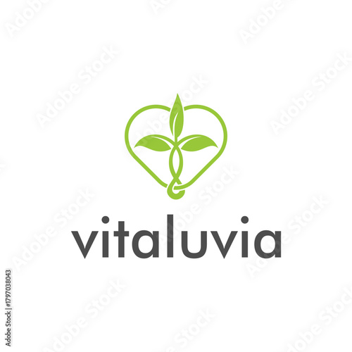 V Minimalist Brand Logo