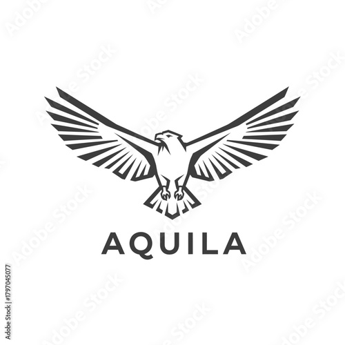 A stylized eagle in mid-flight with outstretched wings, bold lines, against a white background