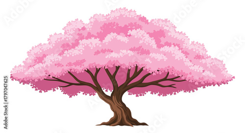 Beautiful Full Bloom Cherry Blossom Tree Illustration - Sakura Flower