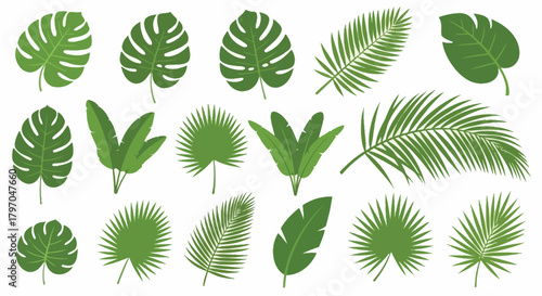 Tropical Leaves Icon Set - Flat Design Collection of Palm and Monstera Plants