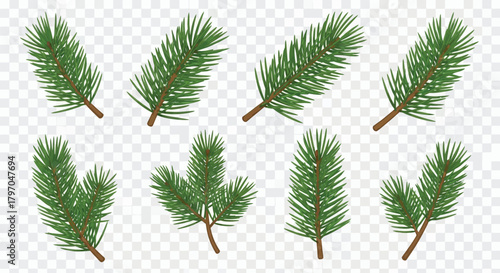 Set of Realistic Pine Tree Branches - Christmas and Winter Decoration Elements