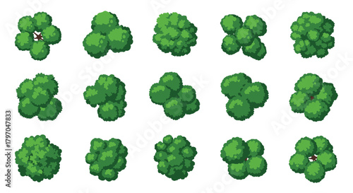 Top View Green Tree and Bush Collection for Map and Game Design