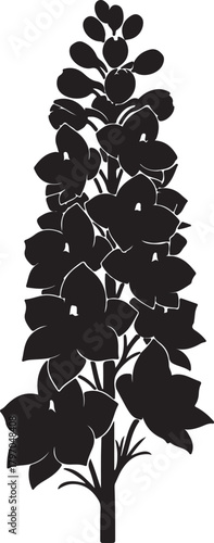 Black Silhouette of a Delphinium Flower with Multiple Blooms Keywords: delphinium, flower, bloom