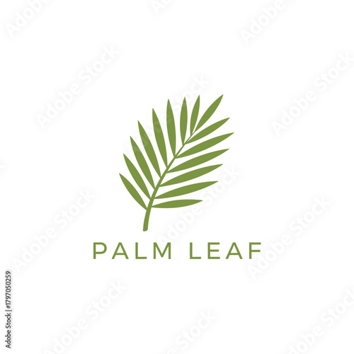 Stylized, minimalist logo featuring a green palm leaf with text "PALM LEAF" below it, centered on white
