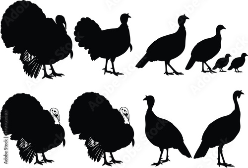 Turkey Bird Silhouettes Vector Set, Male Female Chicken Farm Animal Collection, Thanksgiving Holiday Poultry Meat Hunting Symbol