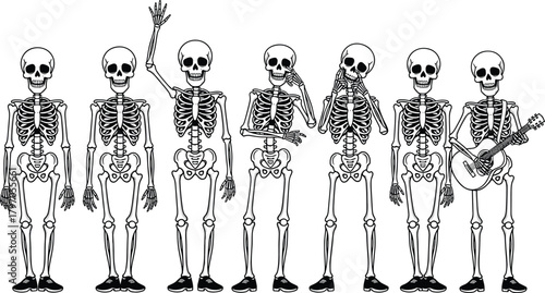 Funny Skeleton Group Cartoon Vector Illustration, Day of the Dead Halloween Party Music Celebration, Human Anatomy Bones Character Set