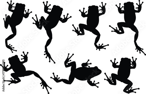 Tree Frog Silhouettes Vector Set, Jumping Amphibian Animal Collection, Wild Tropical Nature Pond Swamp Creature Black Shapes